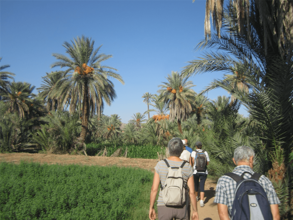 Oasis & palm grove discovery — Tiout & Taroudant