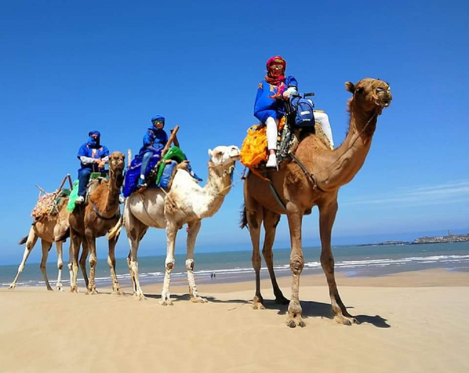 Camel ride & barbecue