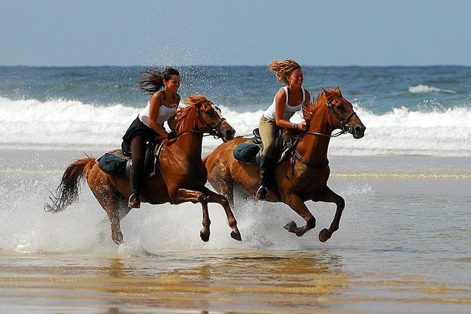Horse riding in Agadir