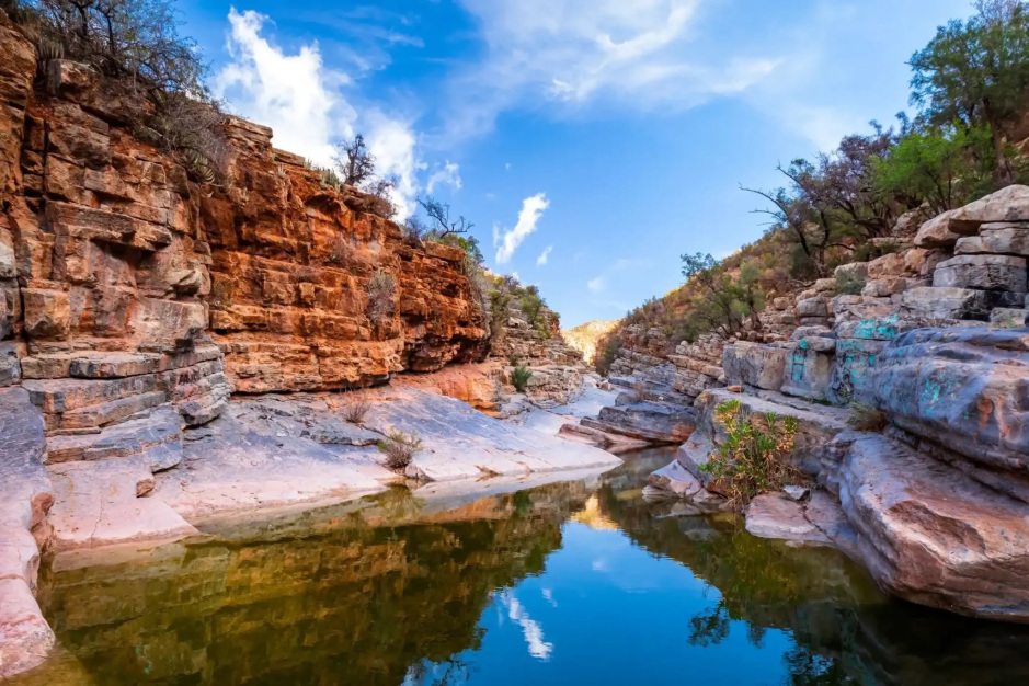 Paradise Valley half-day trip